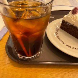 한스 사진