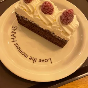 한스 사진