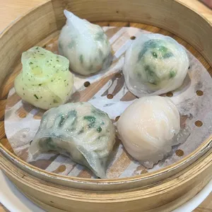 만화쉔 사진