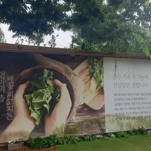 널븐뜰 리뷰 사진