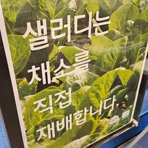 샐러디 리뷰 사진