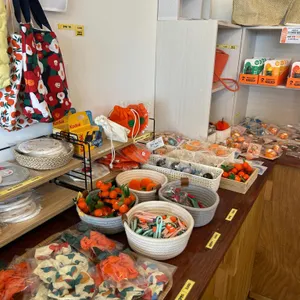 테라도스 리뷰 사진