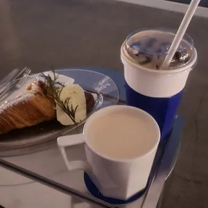 테르트르 사진