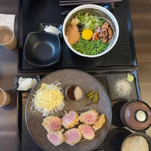 엘리카츠 사진
