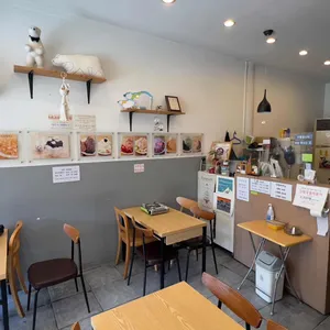 설 리뷰 사진