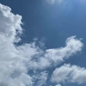 스타벅스 DT 리뷰 사진