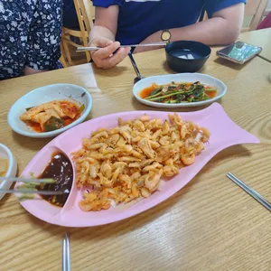 예당느티나무 사진