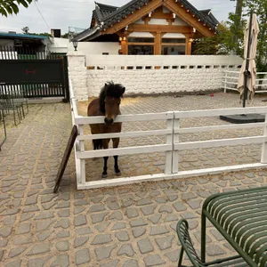 후프후프 리뷰 사진