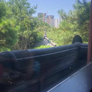 서운칼국수 리뷰 사진