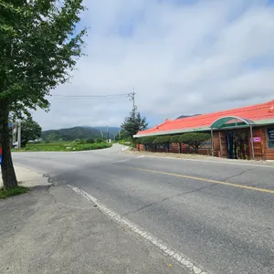영광정 메밀국수 리뷰 사진