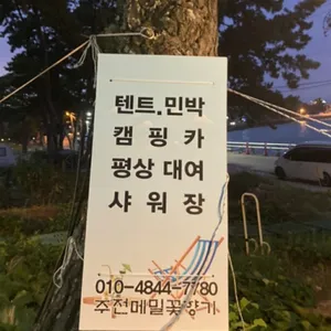 주전메밀꽃향기 사진