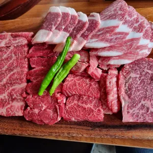 꽃소 사진