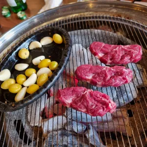 꽃소 사진