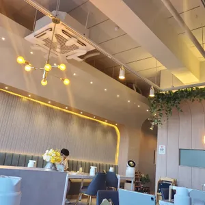 솔리보 리뷰 사진