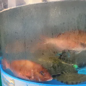 우리수산 리뷰 사진