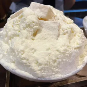 동빙고 사진