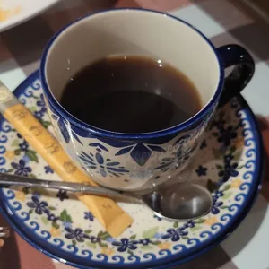 밤비노 사진