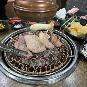 이쁜돼지 사진