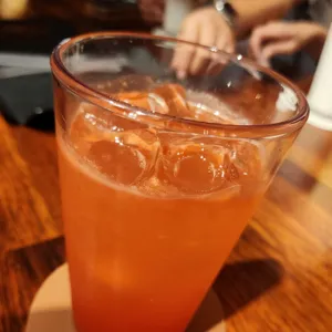 비오브 사진