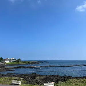 피그누들숩 리뷰 사진