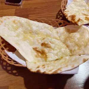 타라 사진