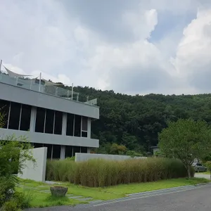 나울 대표 사진