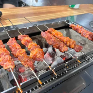 양과의하루 사진