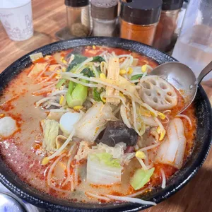 양과의하루 사진