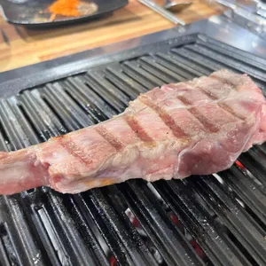 양과의하루 사진