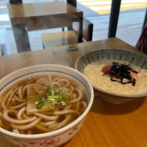 카모메 사진