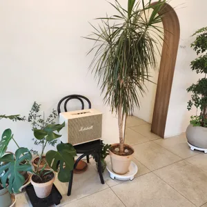 부엉이커피 리뷰 사진