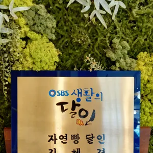 비건비거닝 리뷰 사진