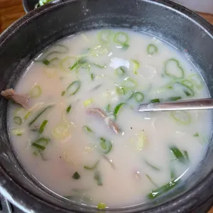 자작나무 곰탕 사진