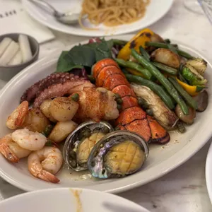 디토 사진