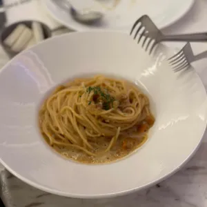 디토 사진