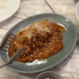 디토 사진