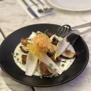 디토 사진