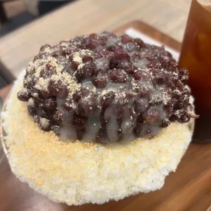 버드더카페 사진