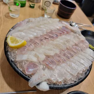 싱싱오징어바다 사진