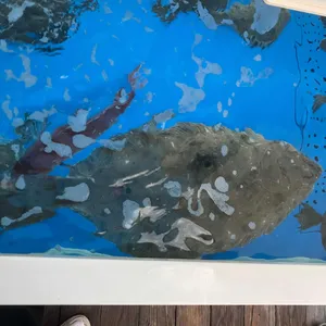 사천포구횟집 리뷰 사진