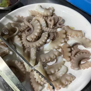 힘찬갯벌낙지 사진