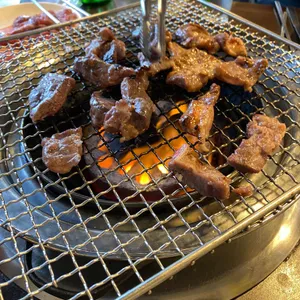 조가네 명품 갈매기 사진
