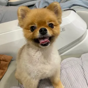 미이팅 리뷰 사진
