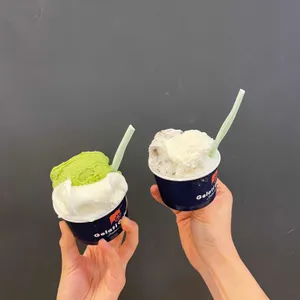 젤라띠젤라띠 사진