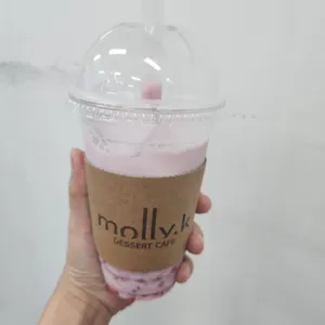 몰리케이 사진