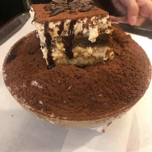 티라펠리체 사진