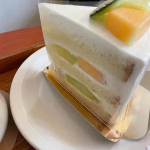 라조콩드 사진