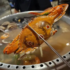 어데고 사진
