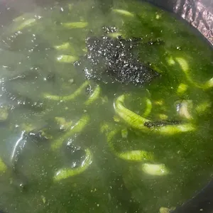 중문보말칼국수 사진
