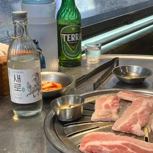 강남갈매기 사진